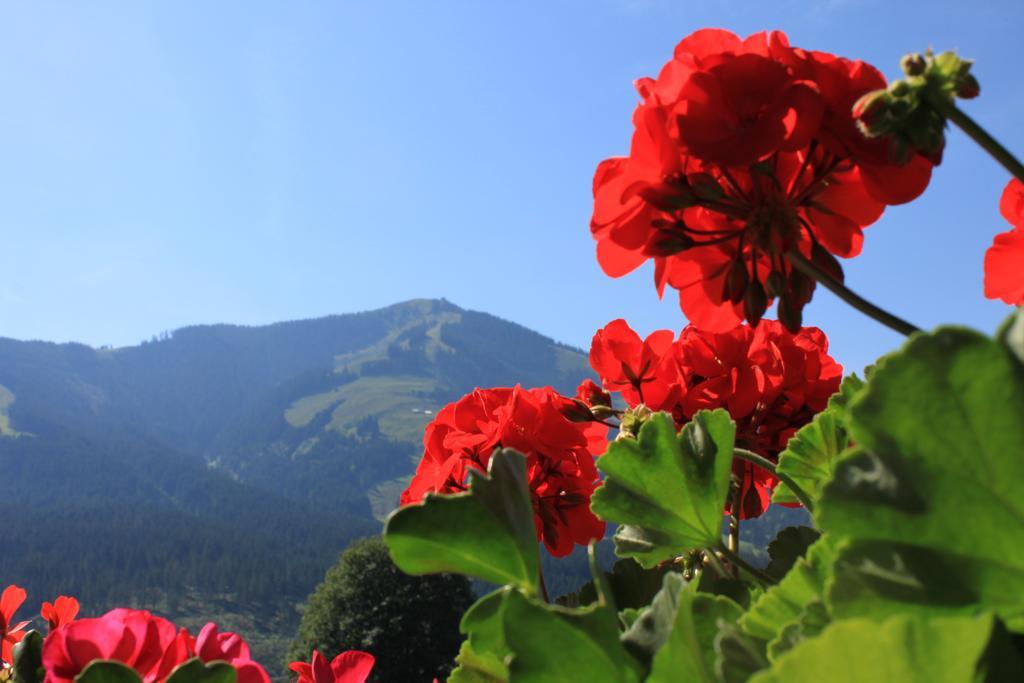 Ferienwohnung Haus Straif Brixen im Thale Exterior foto